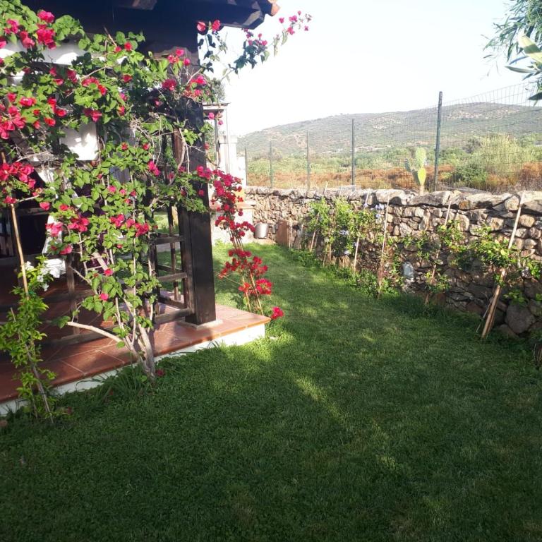 Villetta Bouganville - Casa Vacanze - 28