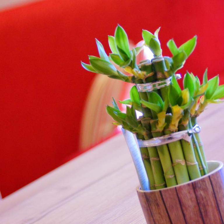 Apartments. Ambria - Appartement avec Balcon - 31