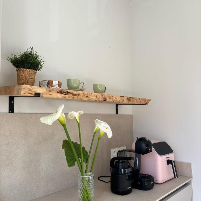 Balcones de la Guía - Apartamento de 2 dormitorios - 10