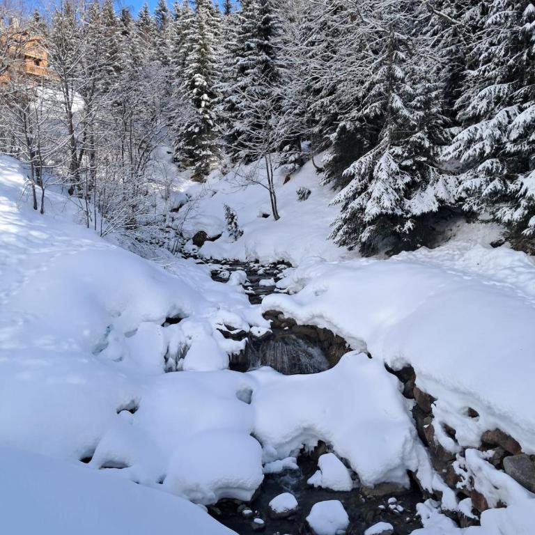 AU PIED DES PISTES 5 Personnes avec balcon - Appartement 1 Chambre - 11