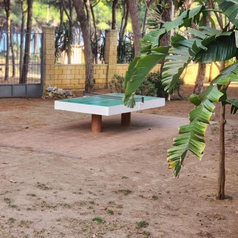 Refugio de la Playa y Bosque - Apartamento de 2 dormitorios - 37