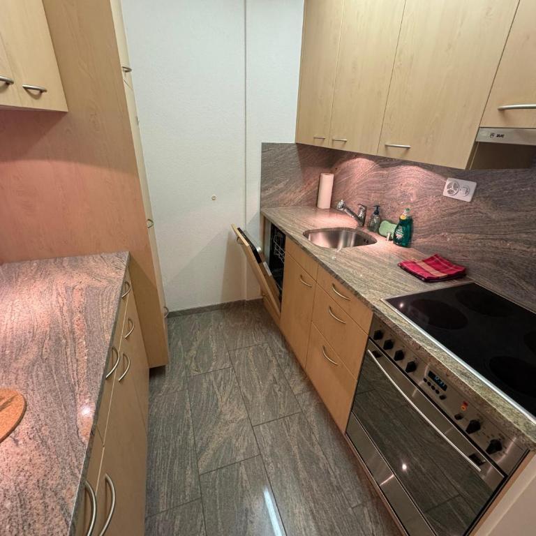 Stylish Alpine Studio in Davos, Wifi & Netflix - Apartment mit 1 Schlafzimmer - 15