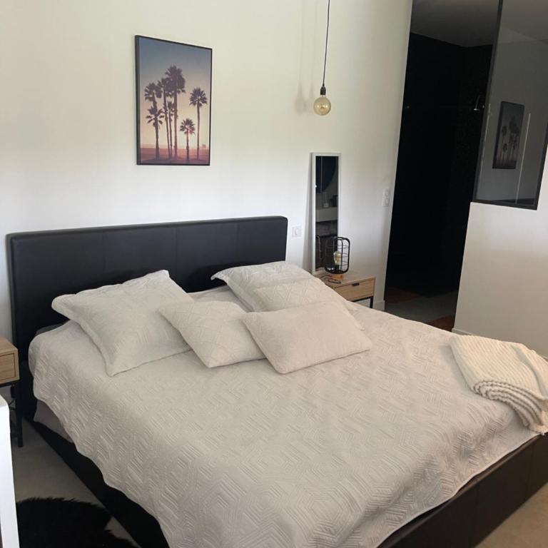 Apparemment luxueux - Appartement 1 Chambre - 5