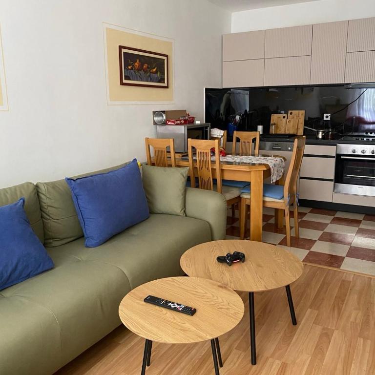 Una apartmani Petrovac - One-Bedroom Apartment with Garden View - 22