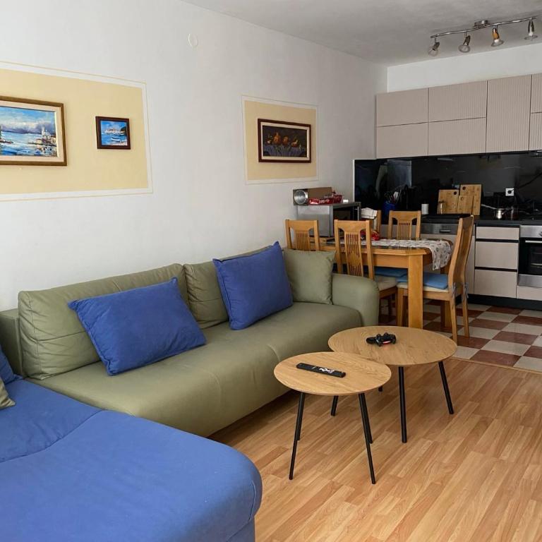 Una apartmani Petrovac - One-Bedroom Apartment with Garden View - 21