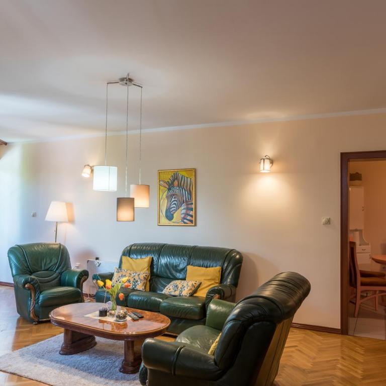 Apartmani Central 12 & Free parking - Apartman sa 1 Spavaćom Sobom - 3