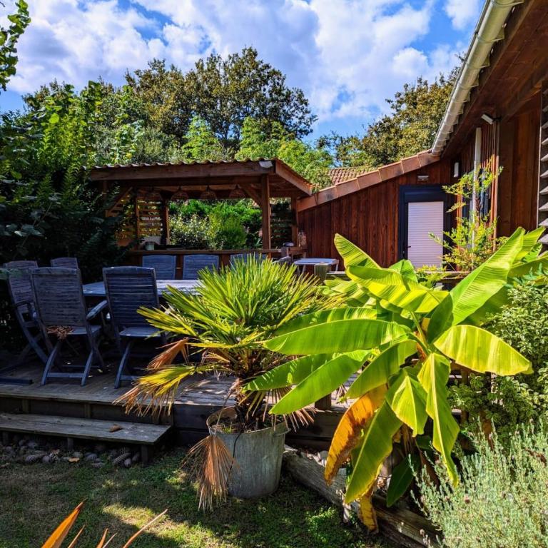 Bassin d'Arcachon - Chalet VIP 5 personnes - Chalet 3 Chambres - 12