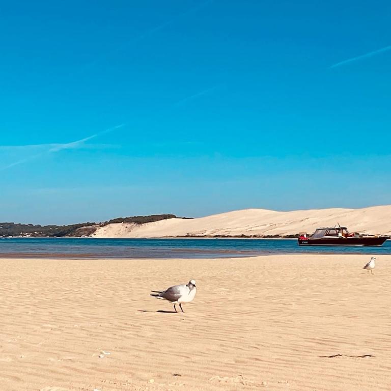 Bassin d'Arcachon - Chalet VIP 5 personnes - Chalet 3 Chambres - 58