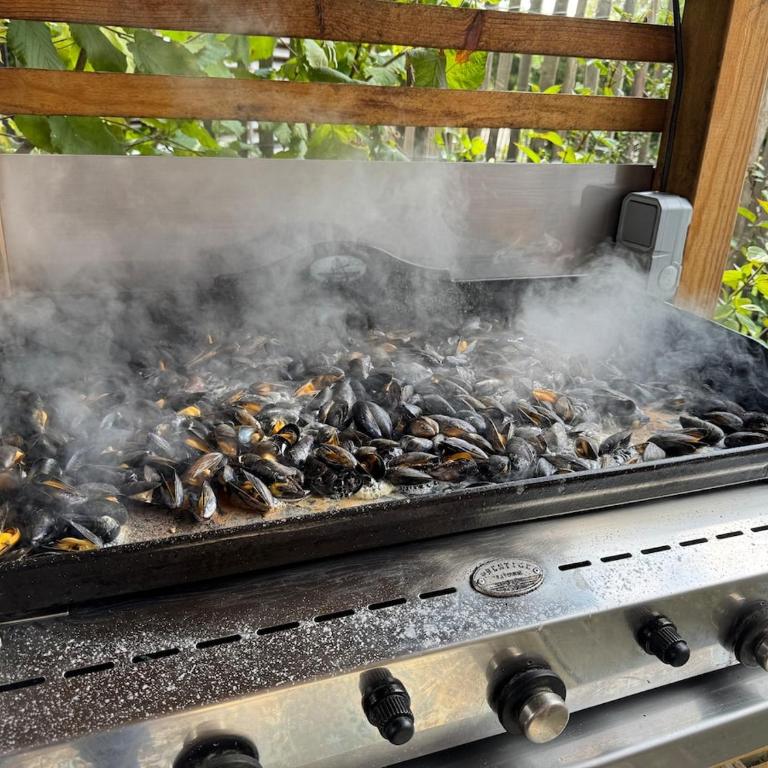Bassin d'Arcachon - Chalet VIP 5 personnes - Chalet 3 Chambres - 30