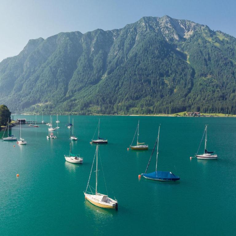 Apartment at the Achensee - Apartment mit 1 Schlafzimmer - 14