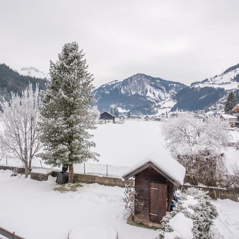 Apartment in Wald near Krimml Waterfalls - Appartamento con 2 Camere da Letto - 37