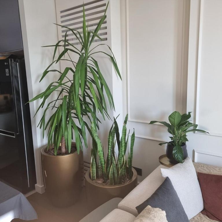 Exclusive apartman BW Terraces - Two-Bedroom Apartment - 29