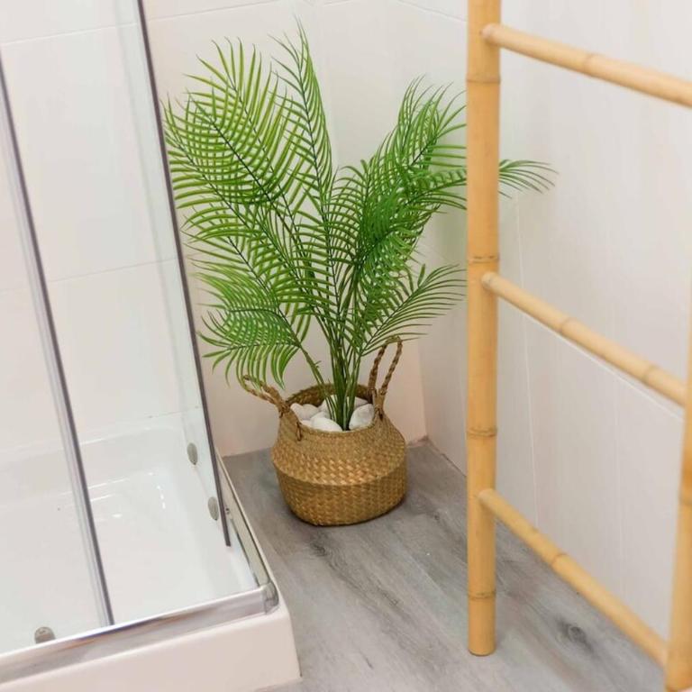 New studio - Plaza Merced - Apartamento de 1 dormitorio - 5