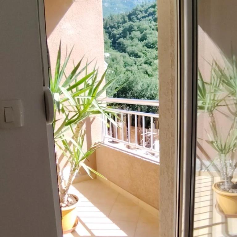 Apartments Lučijana - Apartman sa 1 Spavaćom Sobom - 9