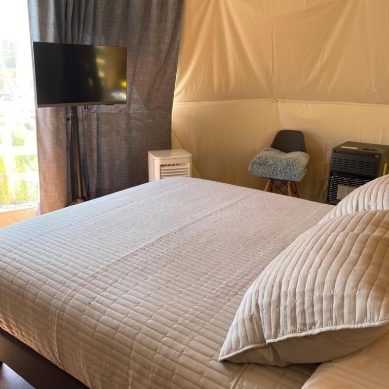 Domos el Quillay - Cabaña de 1 dormitorio - 5