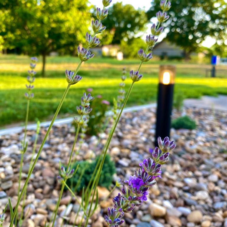 Altiora - Kuća sa 1 Spavaćom Sobom - 16