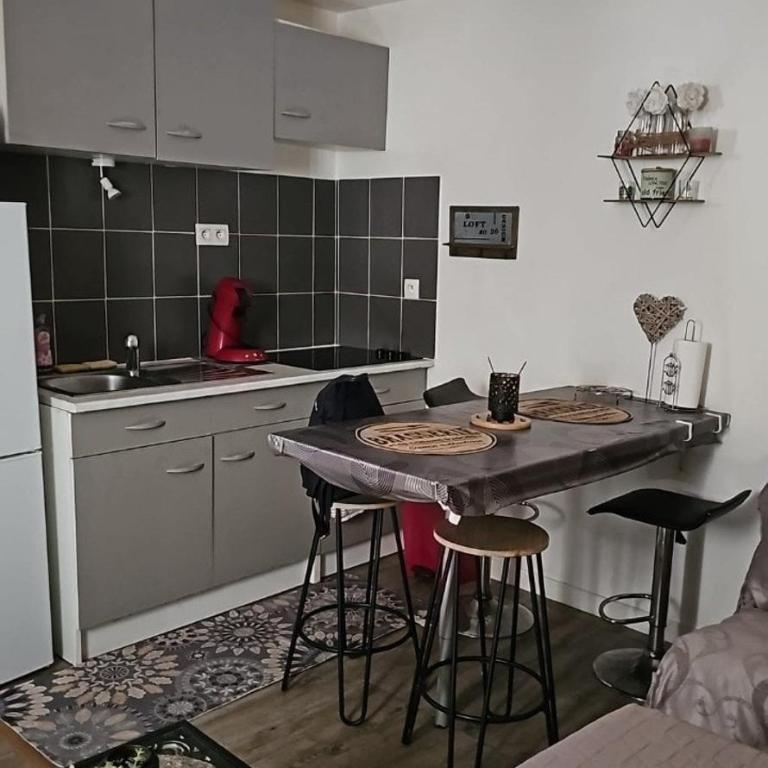 Studio 23 m2, proche centre, calme, WIFI, pk - Apartment mit 1 Schlafzimmer - 16