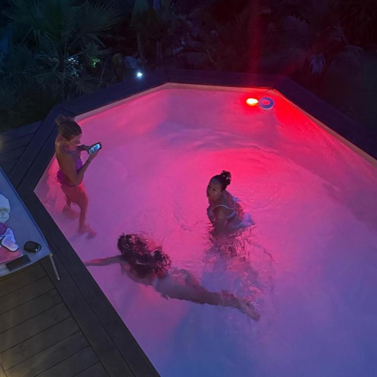 Le loft des mimosas proche de cannes - Villa 3 Chambres - 4