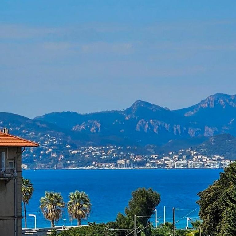 Cannes South of France Apartment near beach, Palais des Festivals and Croisette - Apartment mit 1 Schlafzimmer - 1