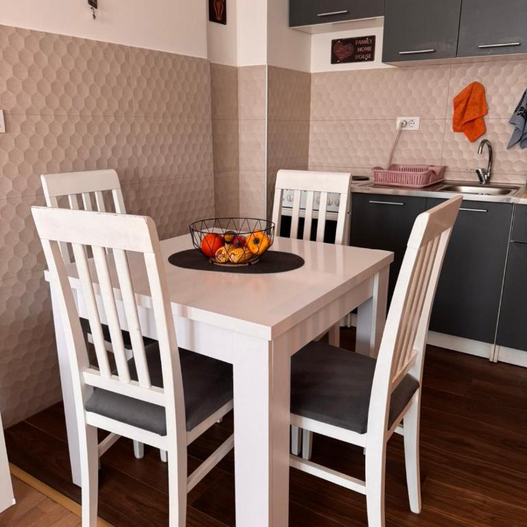 Flower and Love Flat Next to centar of podgorica - One-Bedroom Apartment - 8