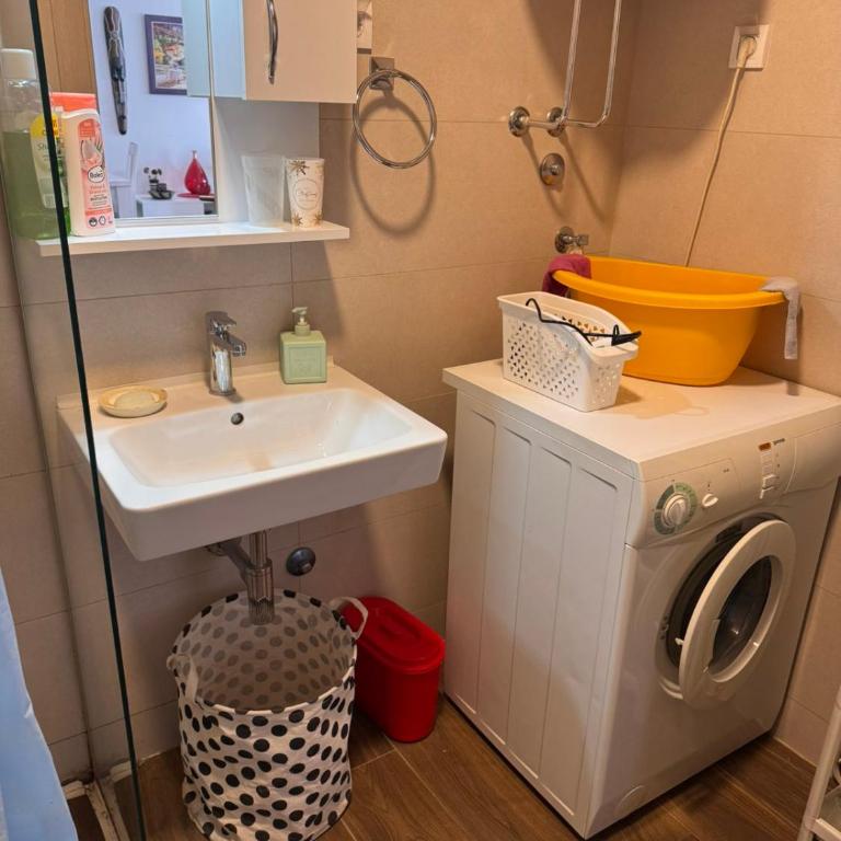 Flower and Love Flat Next to centar of podgorica - One-Bedroom Apartment - 10