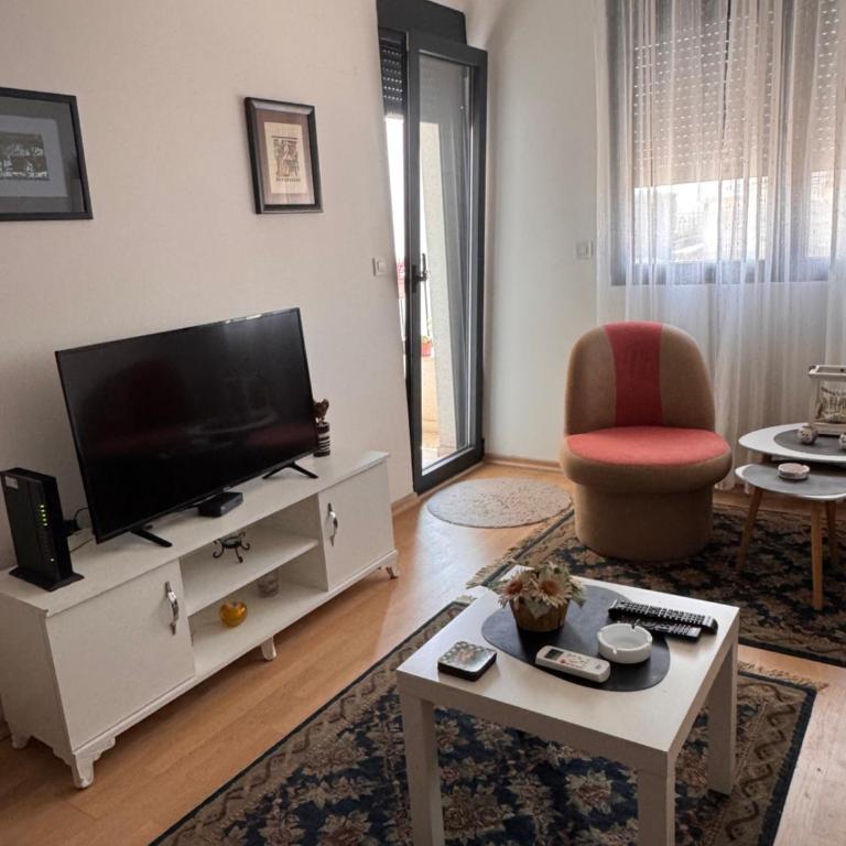 Flower and Love Flat Next to centar of podgorica - One-Bedroom Apartment - 5