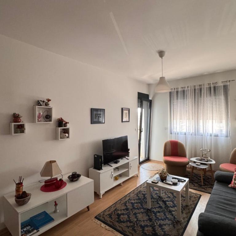 Flower and Love Flat Next to centar of podgorica - One-Bedroom Apartment - 7