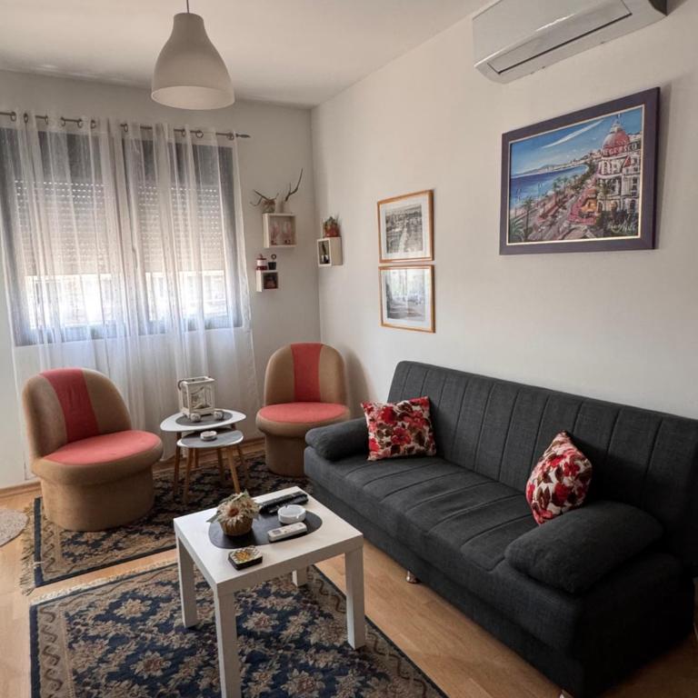 Flower and Love Flat Next to centar of podgorica - One-Bedroom Apartment - 1
