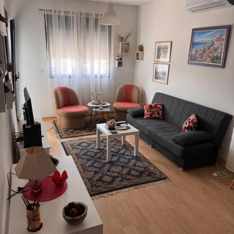 Flower and Love Flat Next to centar of podgorica - One-Bedroom Apartment - 3