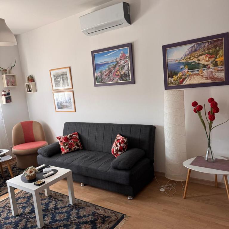 Flower and Love Flat Next to centar of podgorica - One-Bedroom Apartment - 6