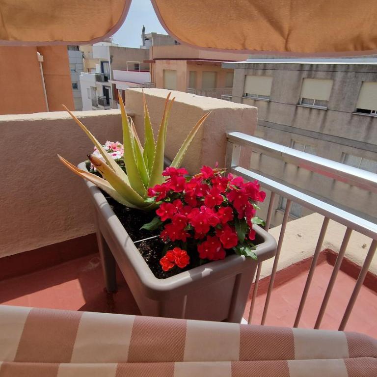 Apartamentos céntricos Playa Norte - Apartamento de 3 dormitorios - 11
