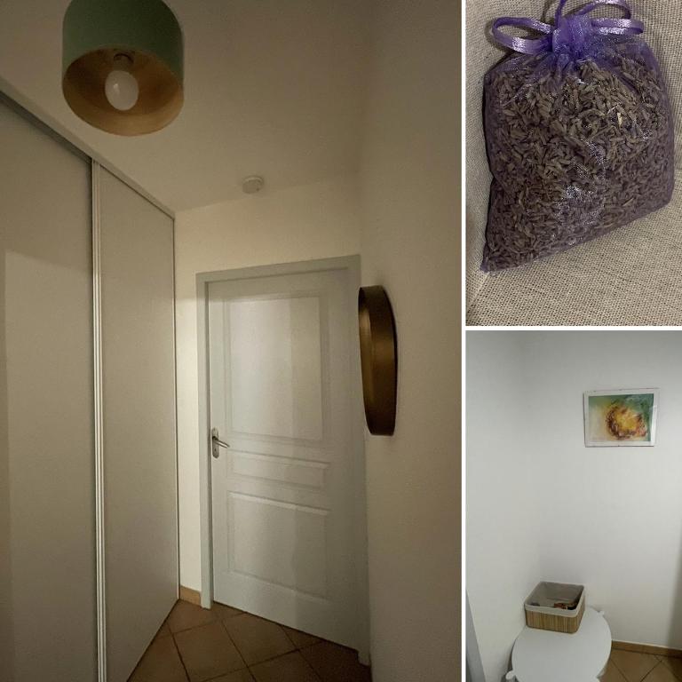 Résidence la Pinède - appartement Flores - Appartamento con 3 Camere da Letto - 13