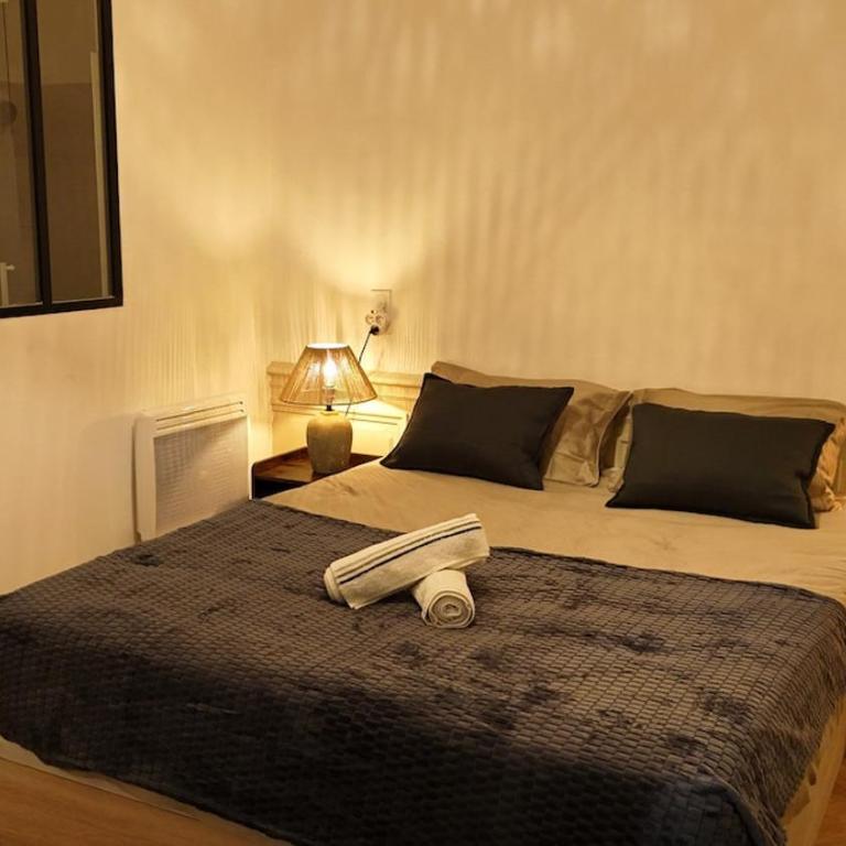 CHARME 1850, climatisé et cinéma - Apartamento de 1 dormitorio - 1