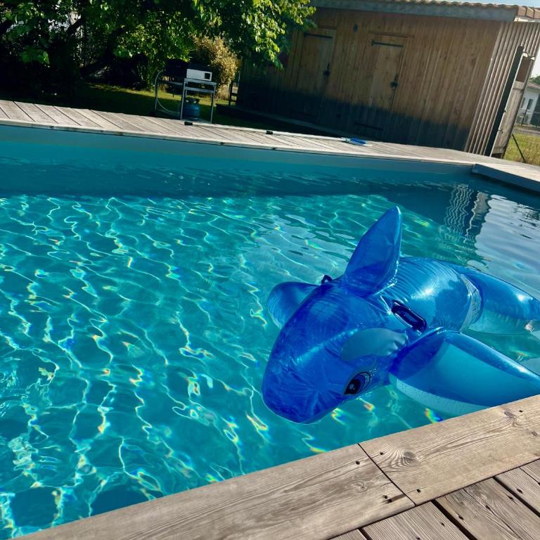 Belle Villa Terra Mare classée 4 étoiles entre océan et bassin - Villa avec Piscine Privée - 88