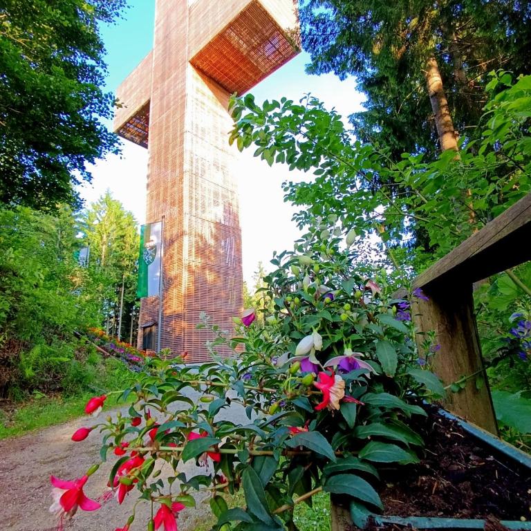 Waldhaus Klein-Veitsch, Auszeit im Grünen - Apartment mit 1 Schlafzimmer - 25