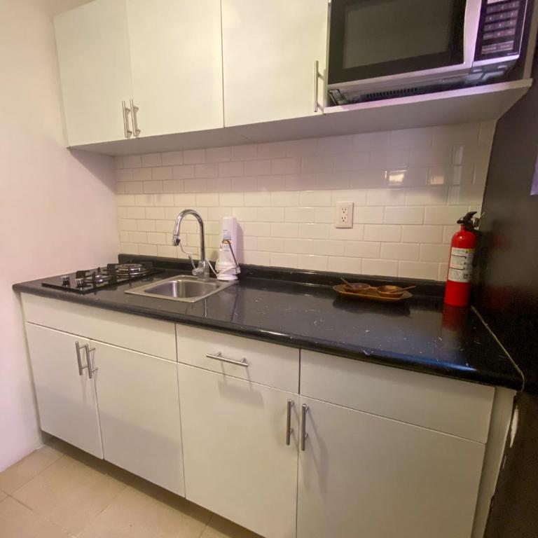 Cozy Flat Condesa - Apartamento de 1 dormitorio - 19