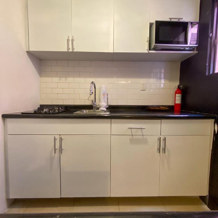 Cozy Flat Condesa - Apartamento de 1 dormitorio - 21