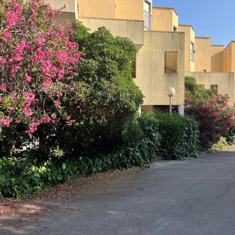 studio à 400m de la plage de la Corniche - Apartment mit 1 Schlafzimmer - 11