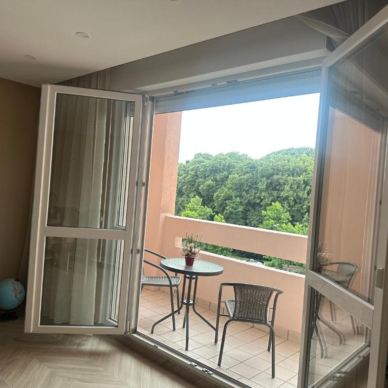 Moderne Appartement Strasbourg - Apartamento de 1 dormitorio - 1