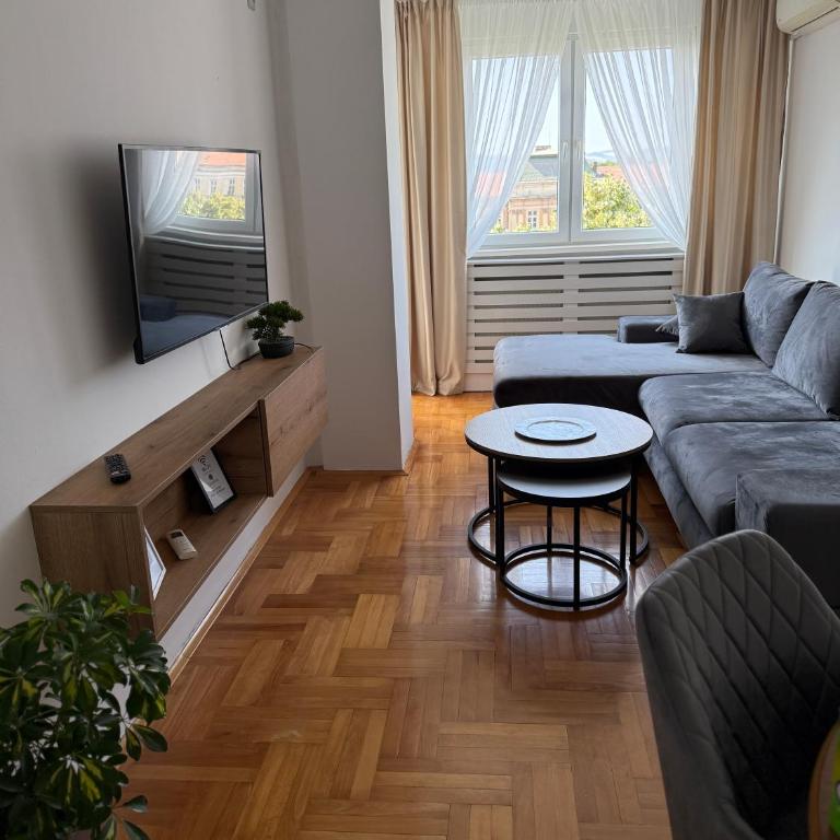 DarViva Apartment Niš, center, private garage parking, river view - Two-Bedroom Apartment - 2