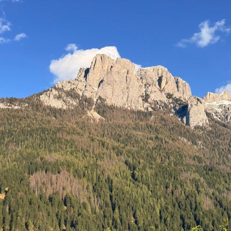 Casa mia - vall di fassa - Appartamento con 3 Camere da Letto e Vista Montagna - 7