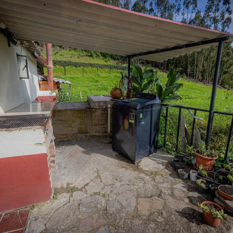 Finca Casa Del Pino - Three-Bedroom House - 35