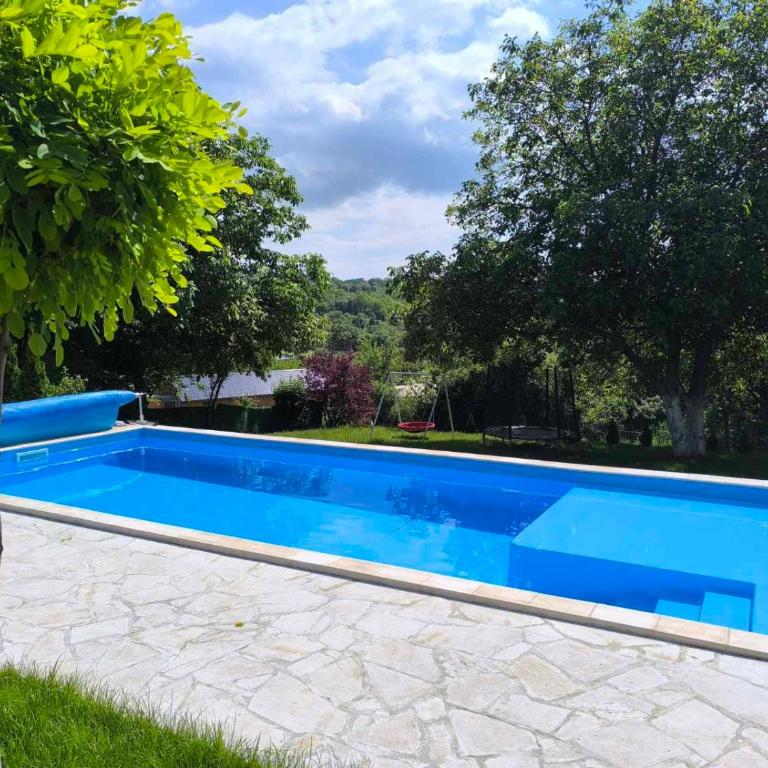 Rent Your Family Retreat in Novi Sad - Vila sa Sopstvenim Bazenom - 14