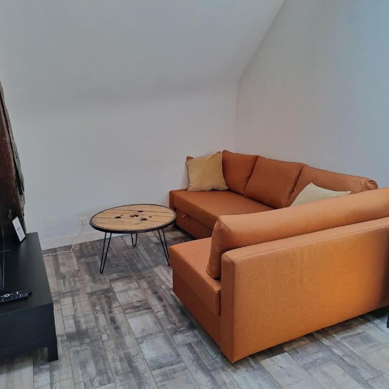 Bords de Loire - Climatisé - 4 personnes - Hypercentre Orléans - Appartamento con 1 Camera da Letto - 9