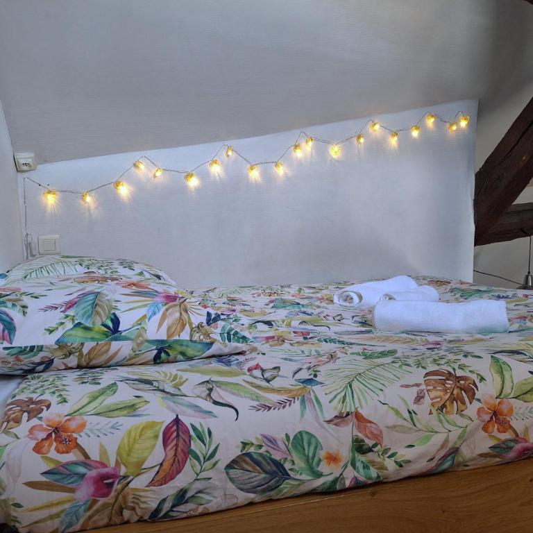 Bords de Loire - Climatisé - 4 personnes - Hypercentre Orléans - Appartamento con 1 Camera da Letto - 14