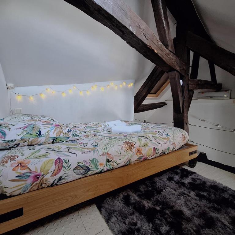 Bords de Loire - Climatisé - 4 personnes - Hypercentre Orléans - Appartamento con 1 Camera da Letto - 15
