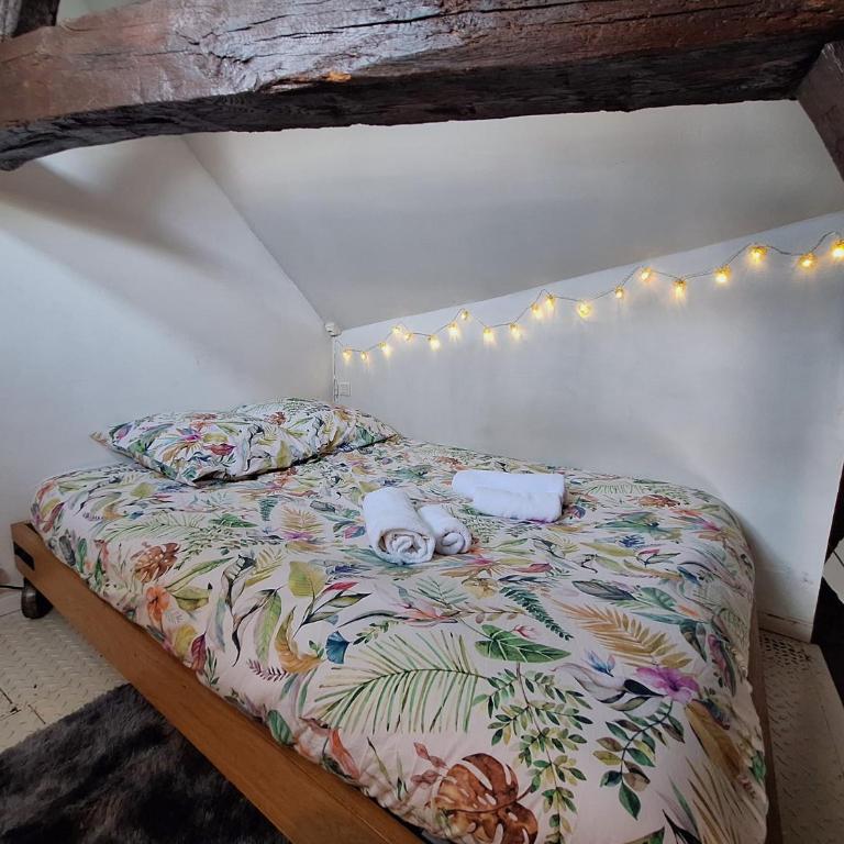 Bords de Loire - Climatisé - 4 personnes - Hypercentre Orléans - Appartamento con 1 Camera da Letto - 16