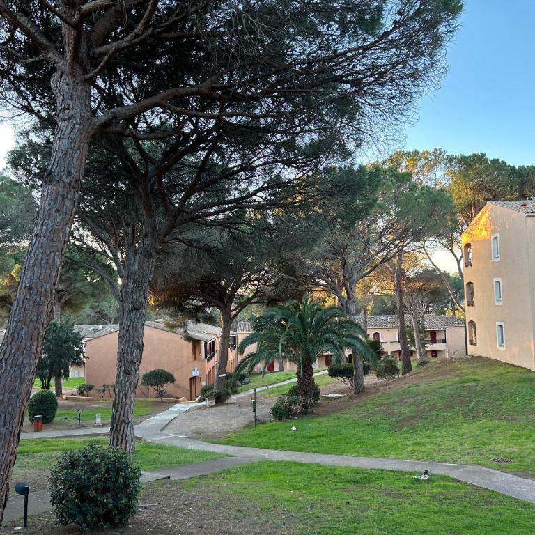 Charmant Appartement climatisé - Wifi - Apartamento Estudio - 22