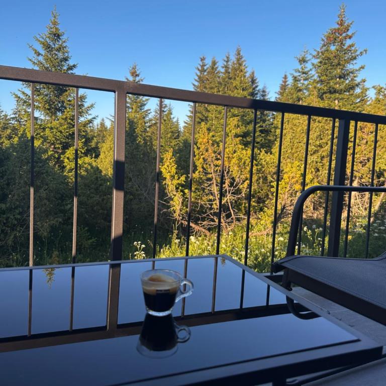 Pine Forrest Uskoci - One-Bedroom House - 12