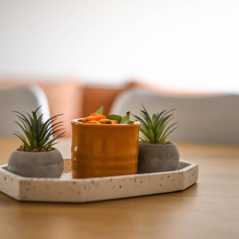 Apartmani S - Apartman sa 1 Spavaćom Sobom - 3